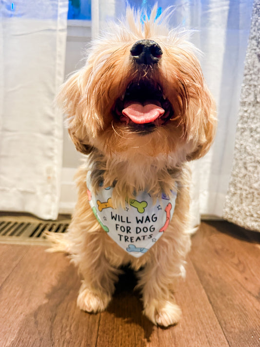 Will Wag for Dog Treats Bandana