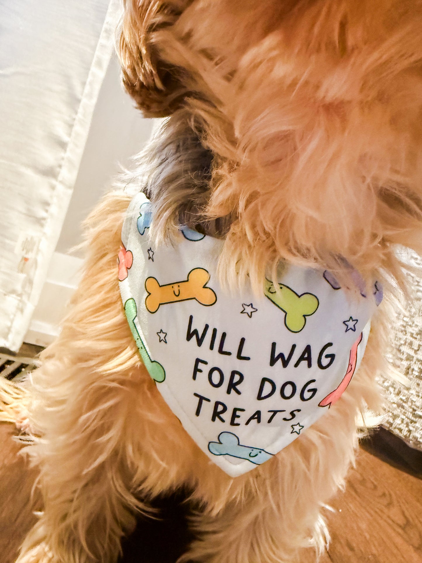 Will Wag for Dog Treats Bandana