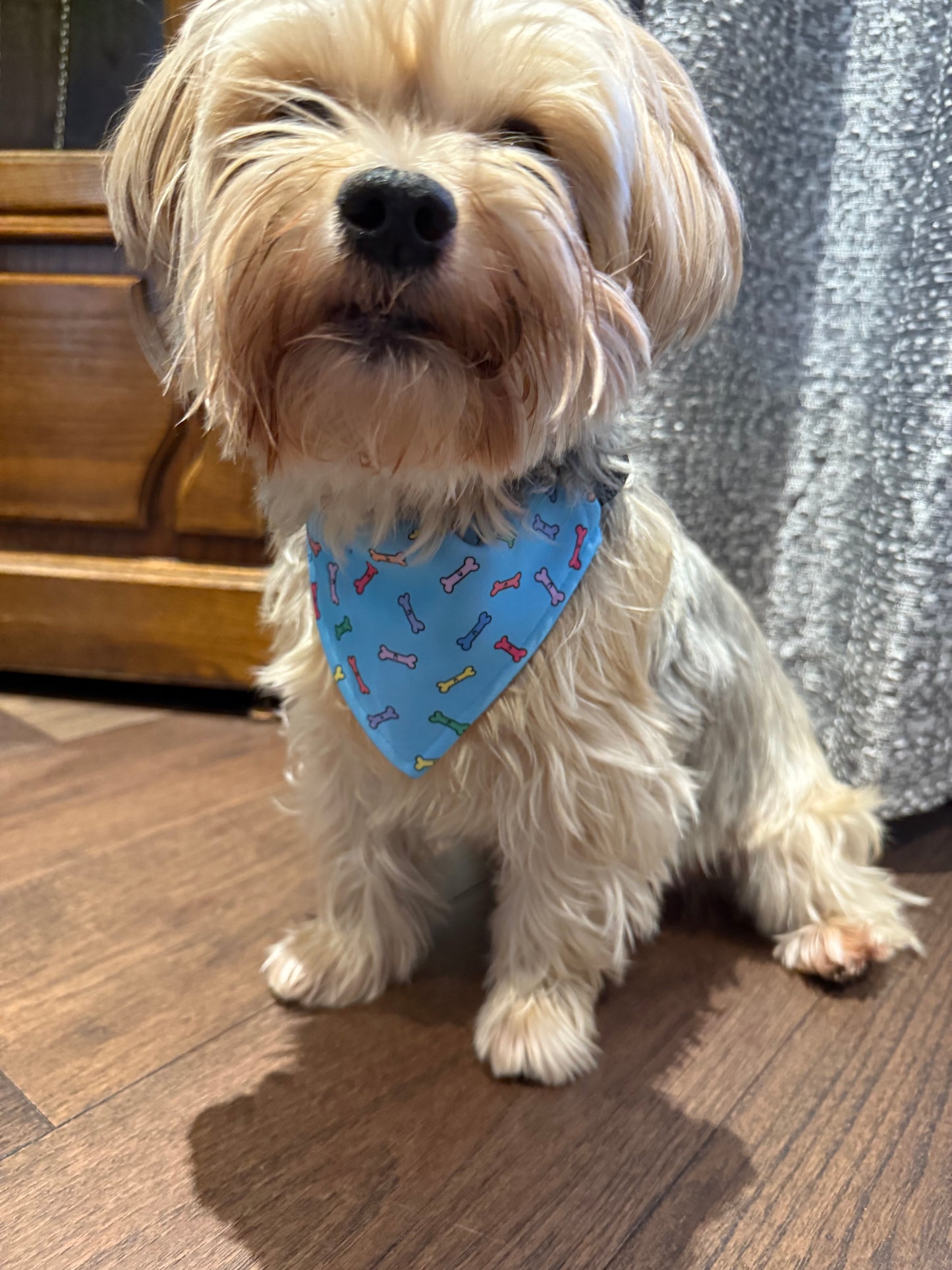 Happy Dog Bones Bandana